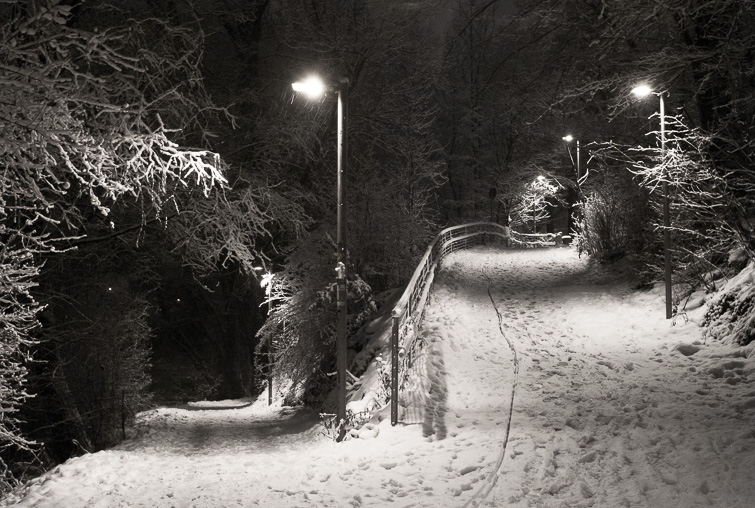 photograph by simon meisinger