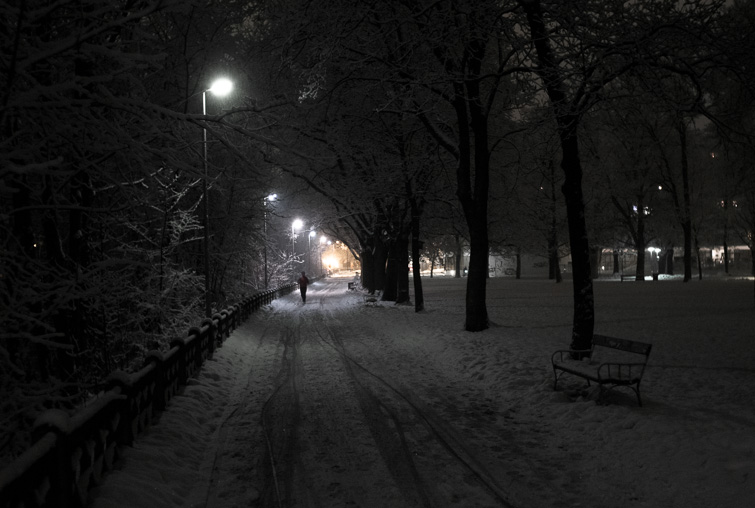 photograph by simon meisinger