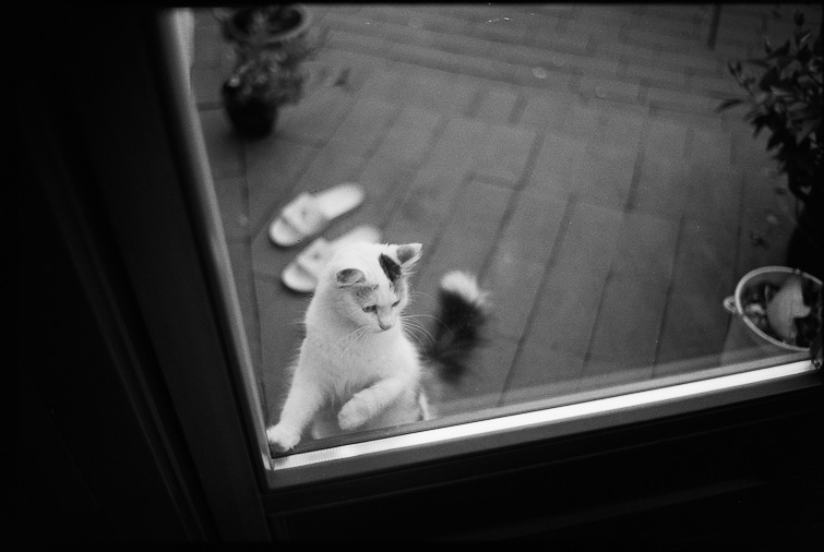 black and white photograph by simon meisinger