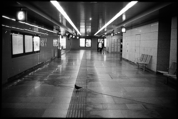 black and white photograph by simon meisinger
