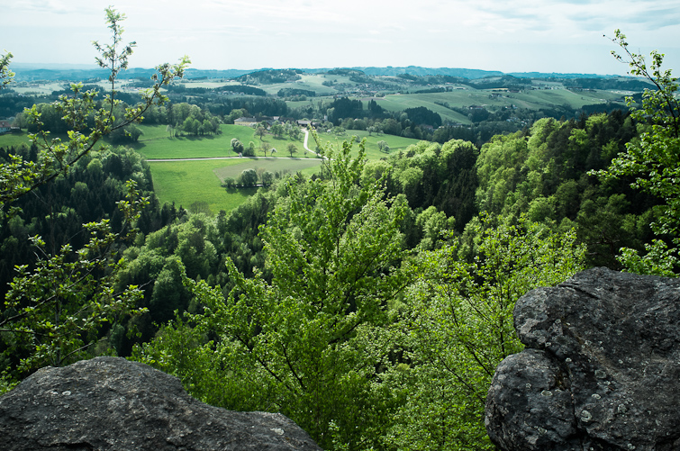 Photo by Simon Meisinger