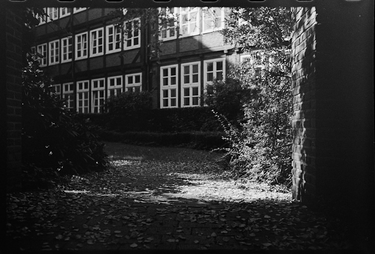 Black and White photograph
