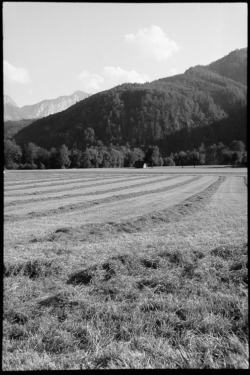 black and white photograph