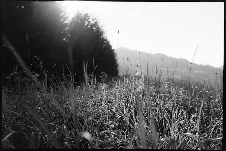 black and white photograph