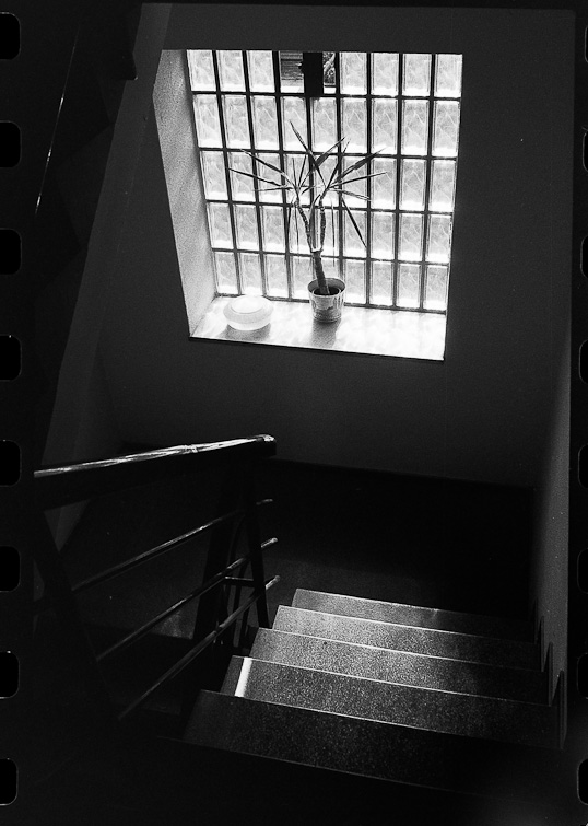 black and white image by simon meisinger
