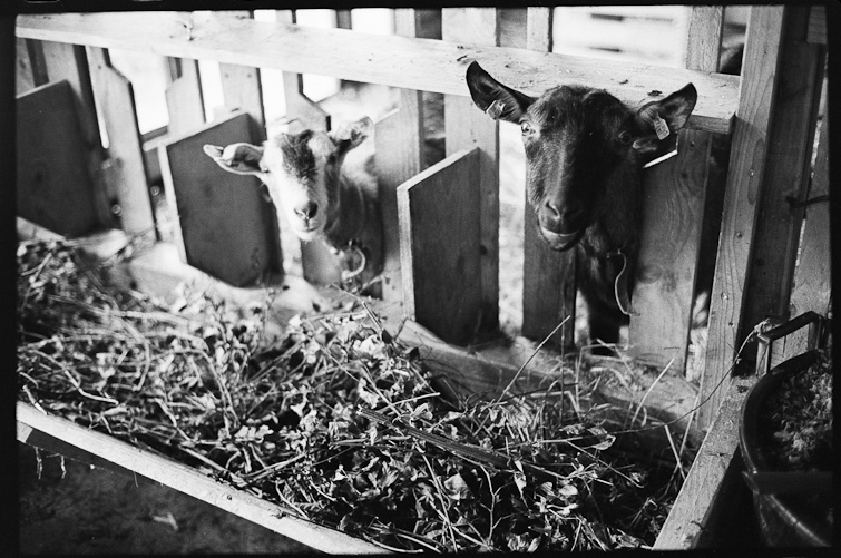 black and white photo