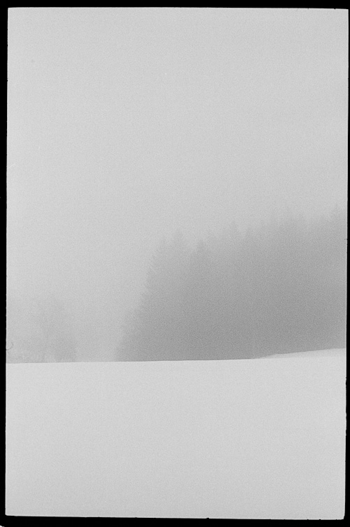 black and white photo