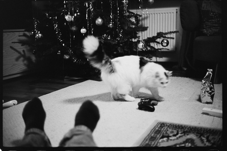 black and white photo