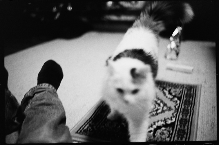 black and white photo