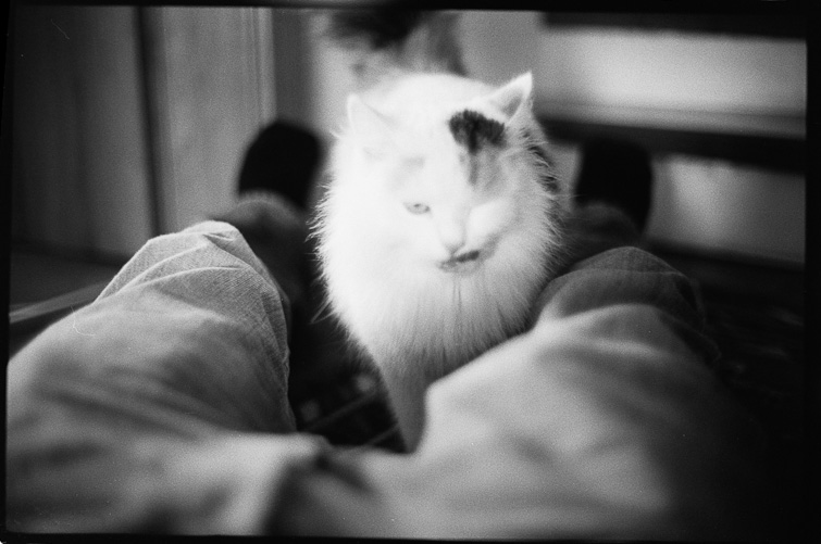 black and white photo