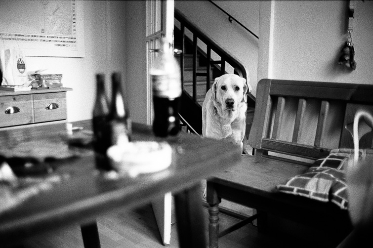 black and white photograph