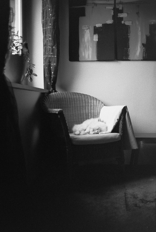 black and white photograph
