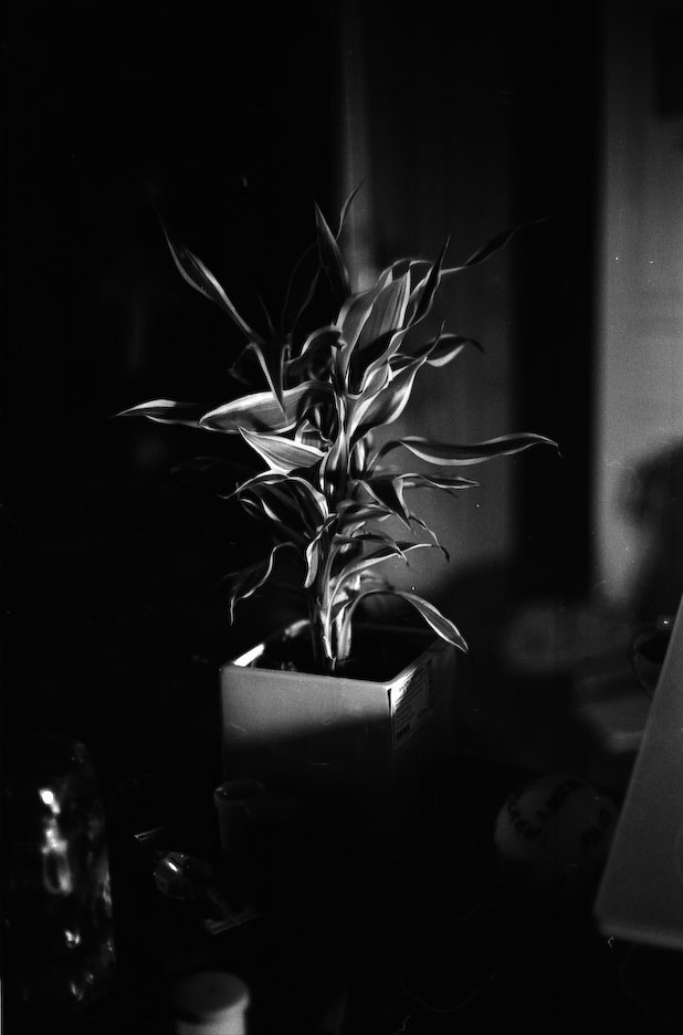 a nice piece of film