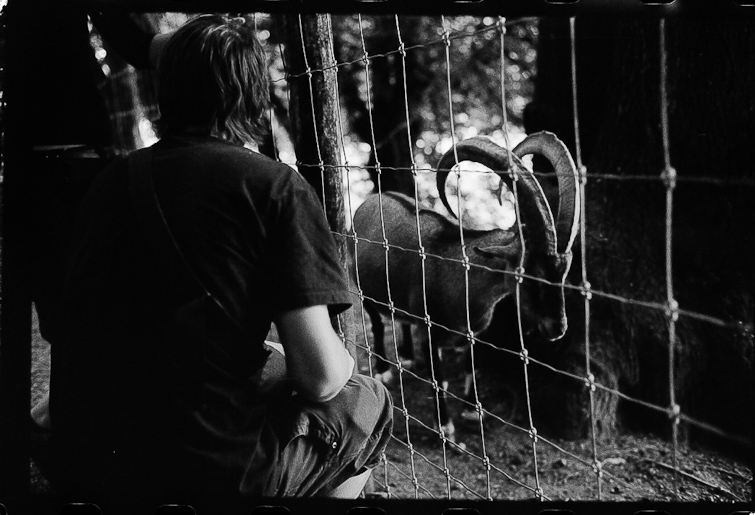simon meisinger