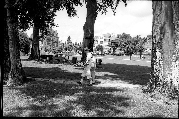 Black and White Photograph