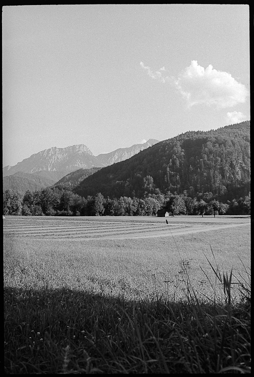 Black and White Photograph
