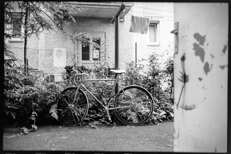 black and white photo