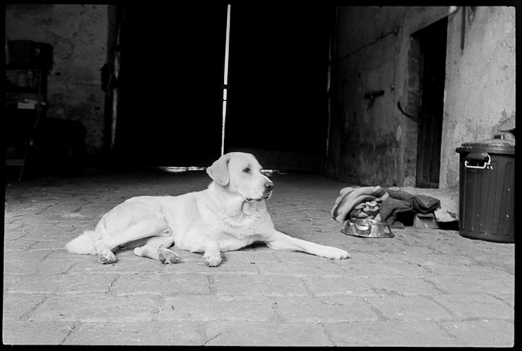 black and white photo