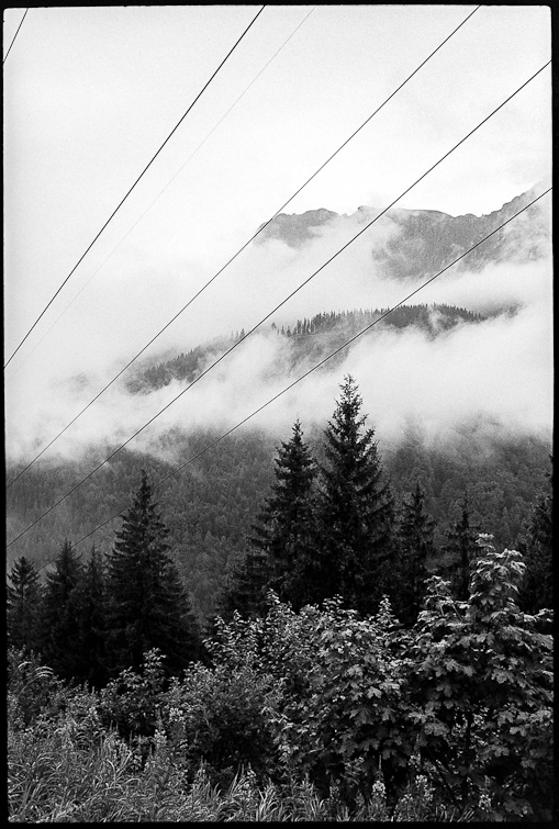 black and white photo
