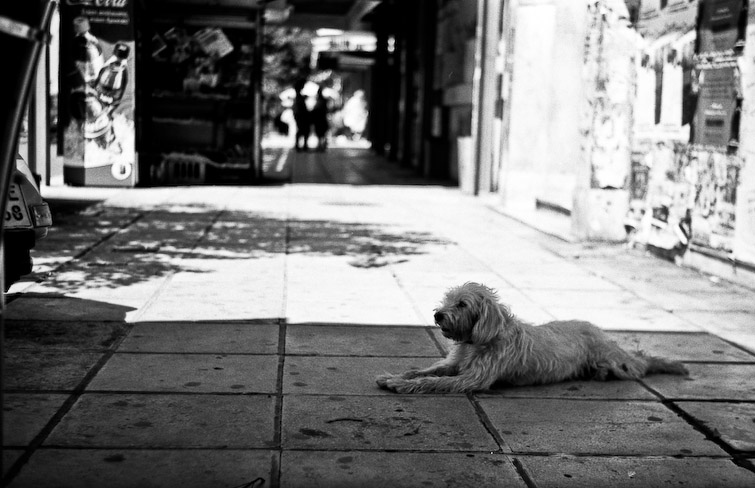 simon meisinger greece