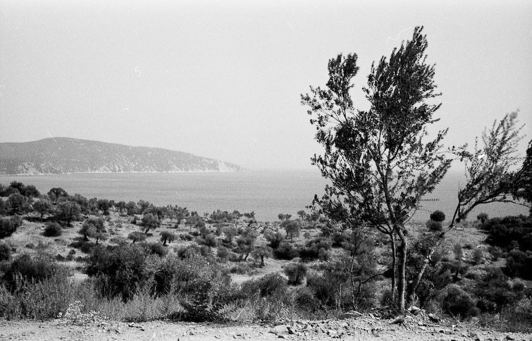 simon meisinger greece