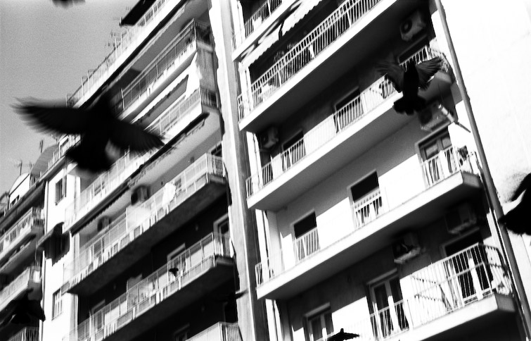 simon meisinger greece