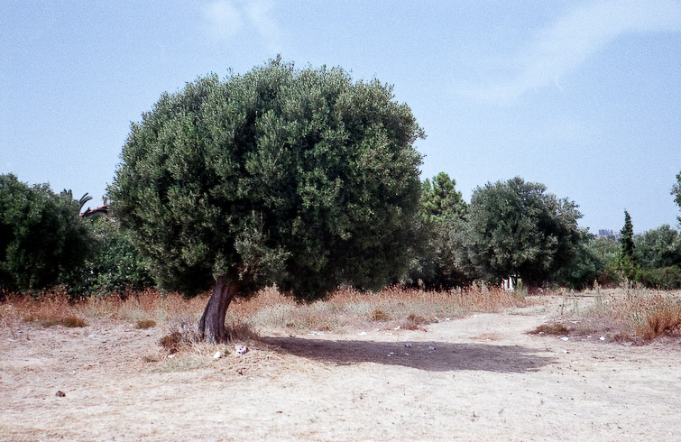 greece in color