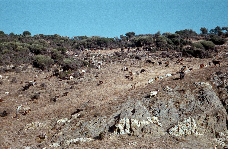 greece in color