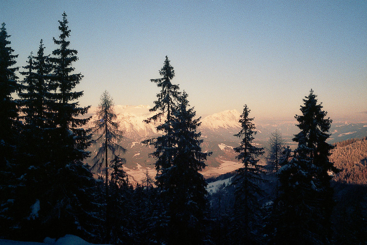 simonmeisinger
