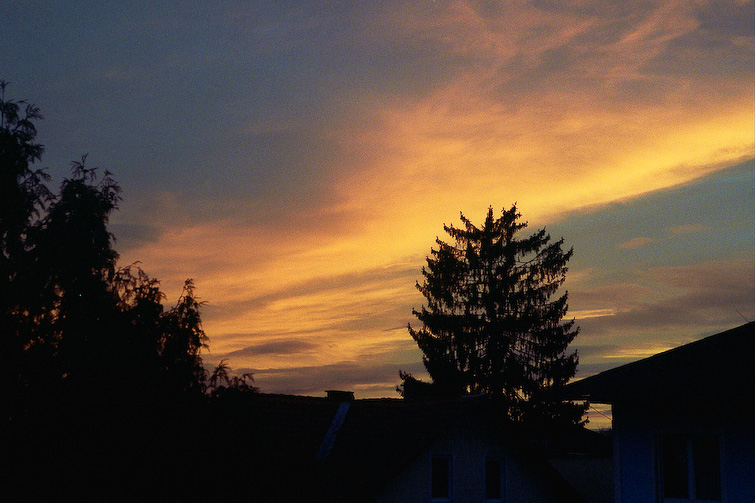 simonmeisinger