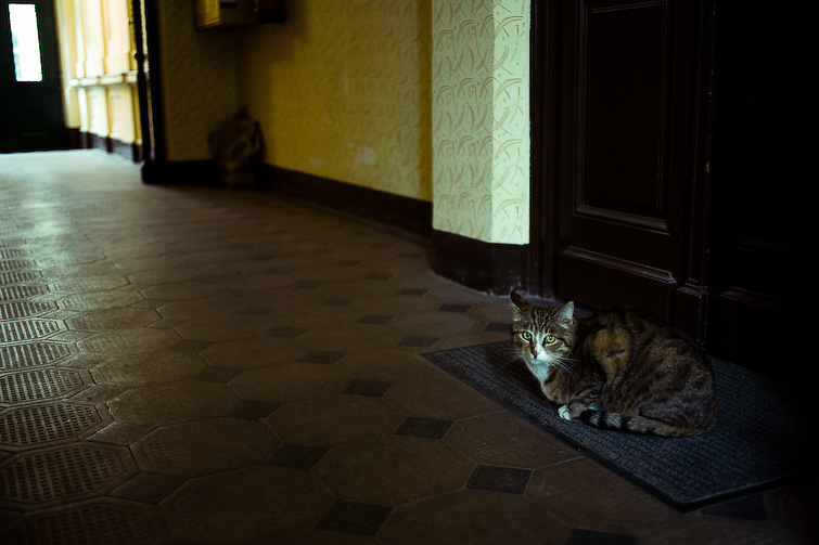 simon meisinger