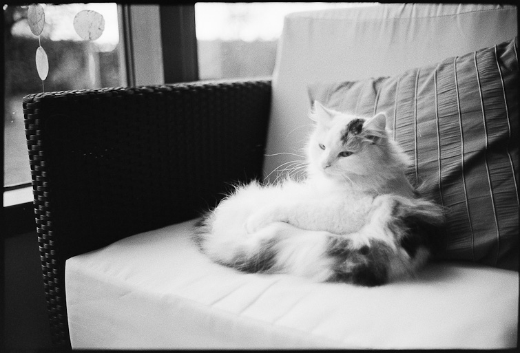 Photo by Simon Meisinger