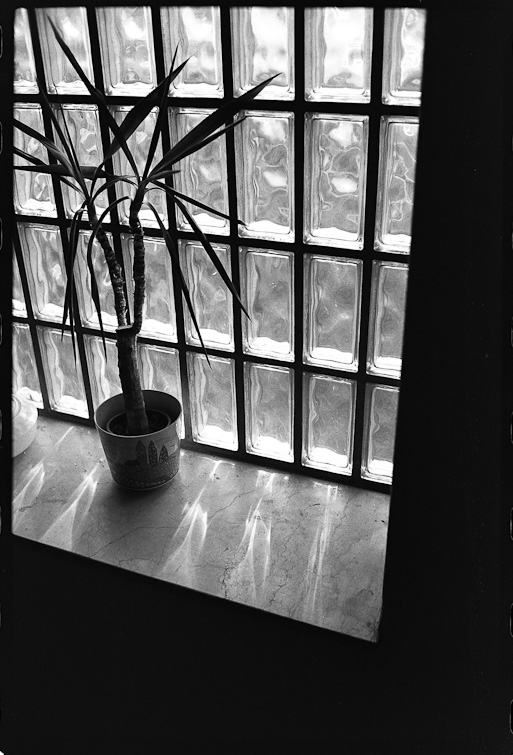 black and white photography
