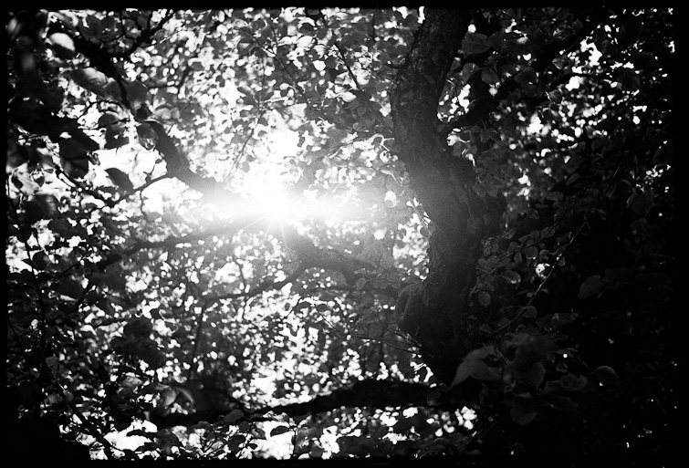 black and white photography