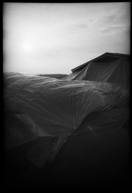 Black and White photograph