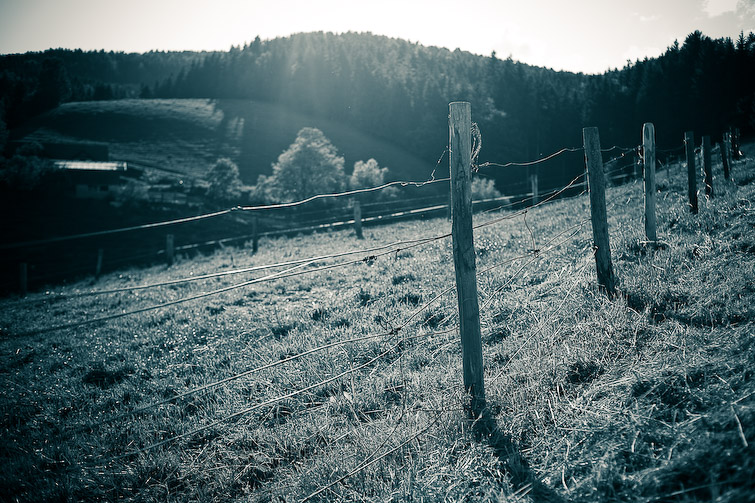 simonmeisinger
