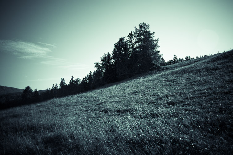 simonmeisinger