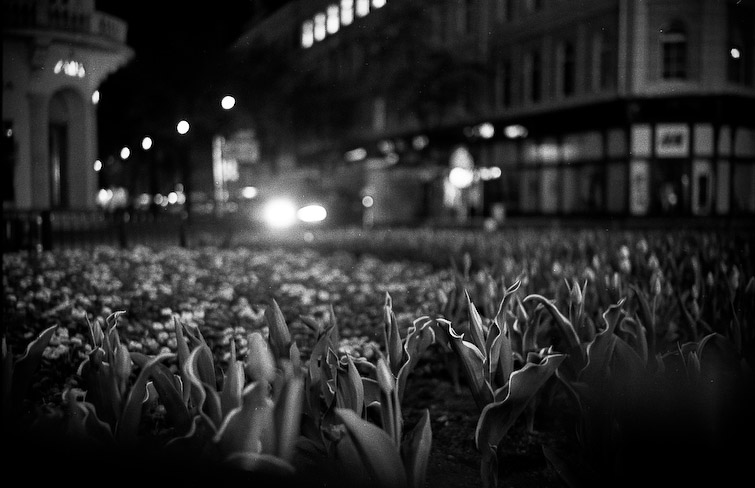 simon meisinger