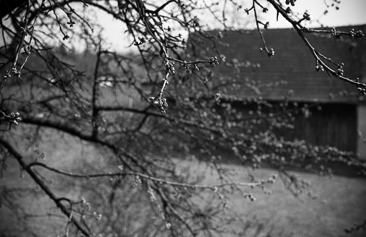 simon meisinger