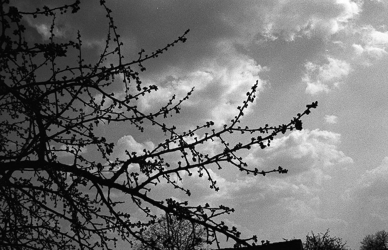 simon meisinger