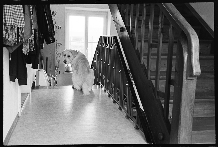 black and white image