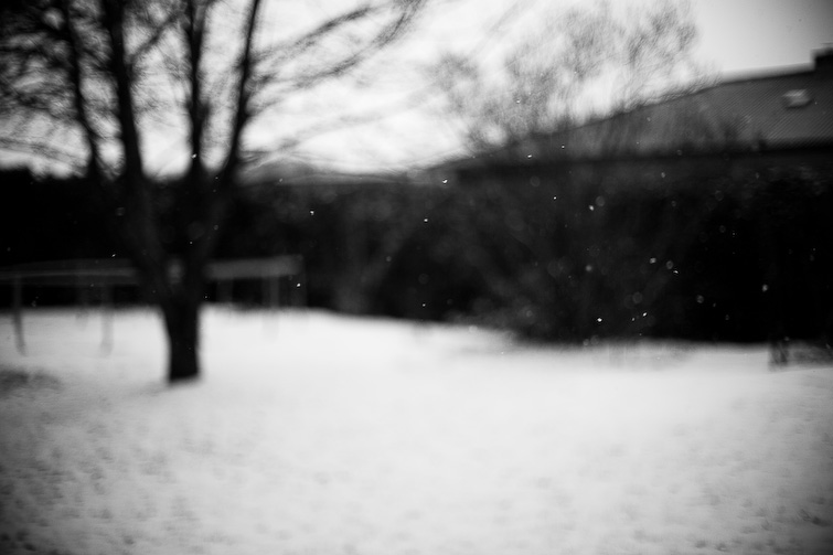 simon meisinger