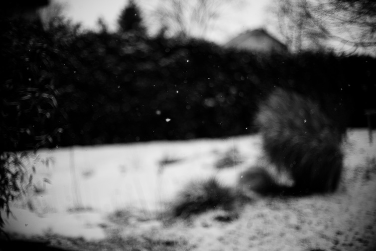 simon meisinger
