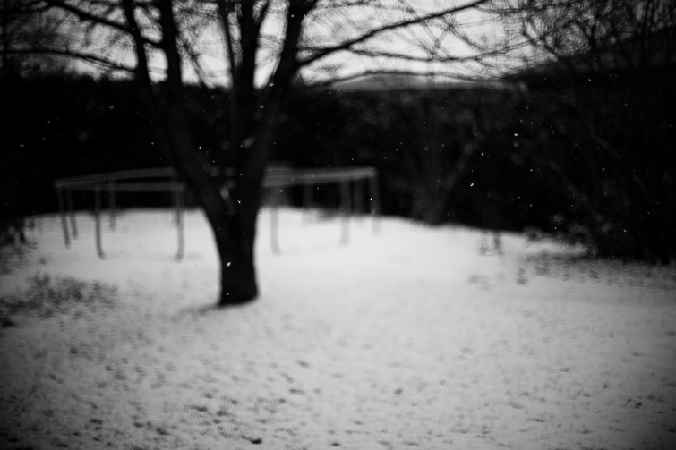 simon meisinger