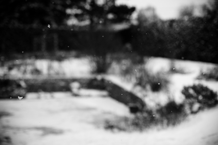 simon meisinger
