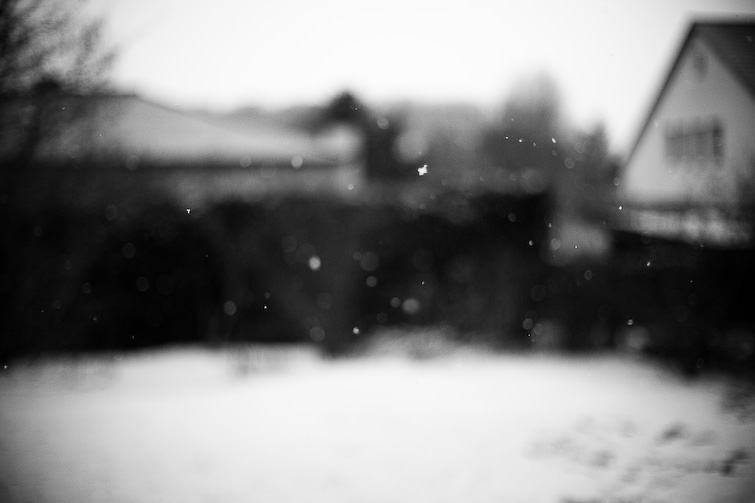 simon meisinger