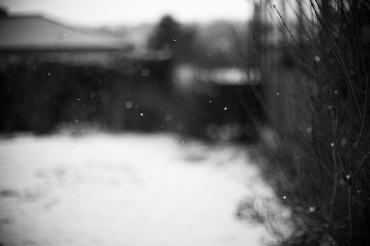 simon meisinger