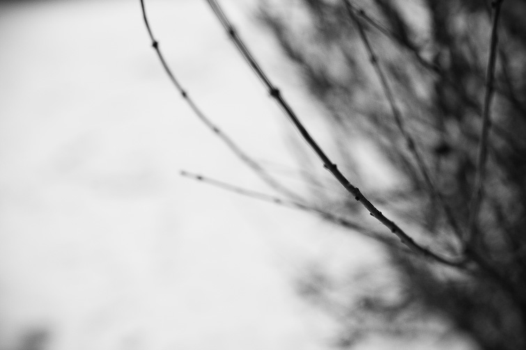 simon meisinger