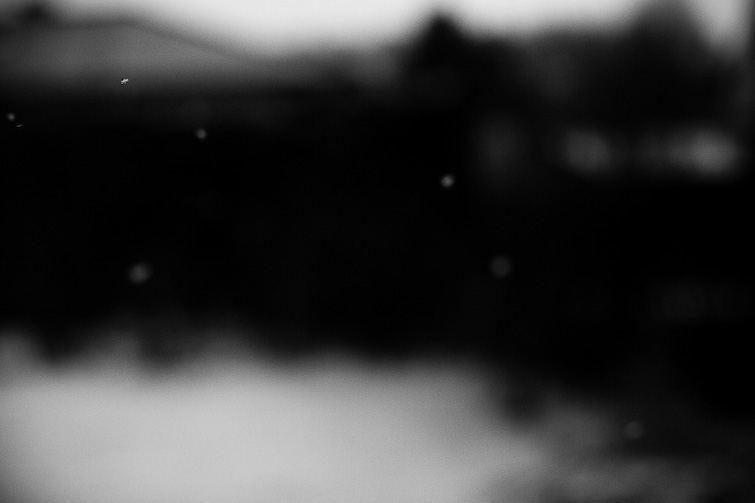 simon meisinger
